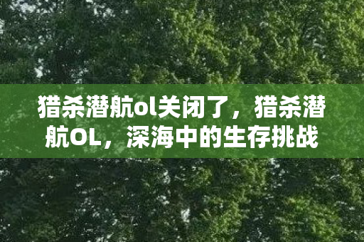 猎杀潜航ol关闭了图片