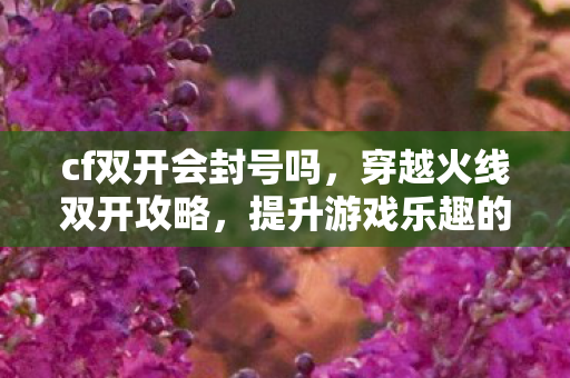 cf双开会封号吗,穿越火线双开攻略,提升游戏乐趣的必备技巧 cf双开会封号吗,穿越火线双开攻略,提升游戏乐趣的必备技巧
