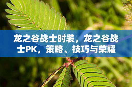 龙之谷战士时装，龙之谷战士PK，策略、技巧与荣耀之战