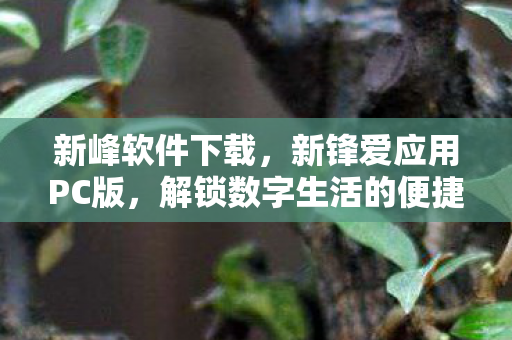新峰软件下载,新锋爱应用PC版,解锁数字生活的便捷钥匙 新峰软件下载,新锋爱应用PC版,解锁数字生活的便捷钥匙