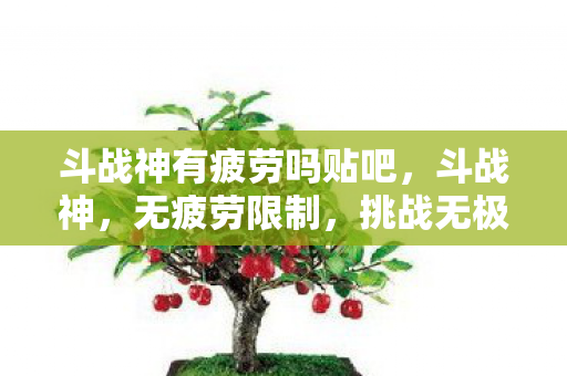 斗战神有疲劳吗贴吧，斗战神，无疲劳限制，挑战无极限