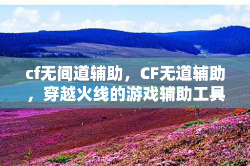 cf无间道辅助，CF无道辅助，穿越火线的游戏辅助工具解析