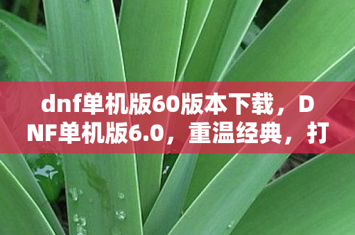 dnf单机版60版本下载,DNF单机版6.0,重温经典,打造属于你的地下城世界 dnf单机版60版本下载,DNF单机版6.0,重温经典,打造属于你的地下城世界