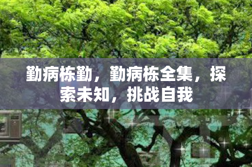 勤病栋勤，勤病栋全集，探索未知，挑战自我