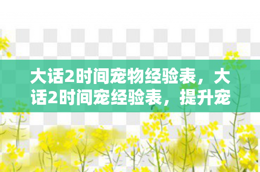 大话2时间宠物经验表，大话2时间宠经验表，提升宠物等级的高效策略