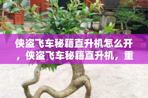 侠盗飞车秘籍直升机怎么开，侠盗飞车秘籍直升机，重温经典游戏的飞行乐趣