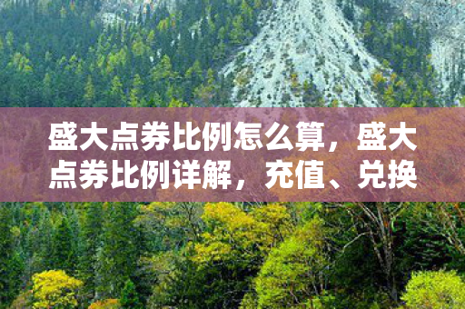 盛大点券比例怎么算，盛大点券比例详解，充值、兑换与使用指南