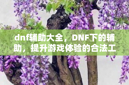 dnf辅助大全，DNF下的辅助，提升游戏体验的合法工具