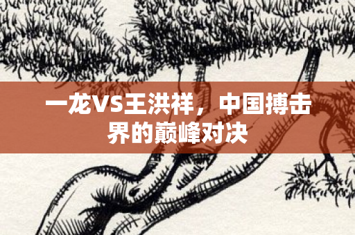 一龙VS王洪祥,中国搏击界的巅峰对决 一龙VS王洪祥,中国搏击界的巅峰对决