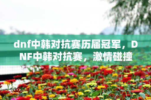 dnf中韩对抗赛历届冠军图片