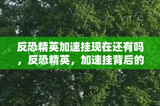 反恐精英加速挂现在还有吗图片