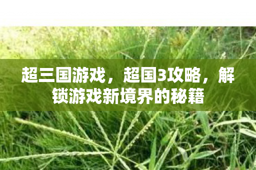 超三国游戏,超国3攻略,解锁游戏新境界的秘籍 超三国游戏,超国3攻略,解锁游戏新境界的秘籍