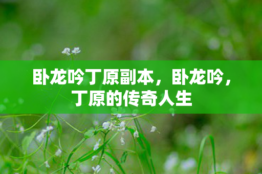 卧龙吟丁原副本,卧龙吟,丁原的传奇人生 卧龙吟丁原副本,卧龙吟,丁原的传奇人生