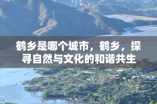 鹤乡是哪个城市，鹤乡，探寻自然与文化的和谐共生