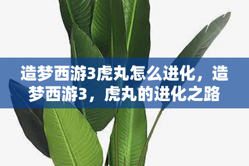 造梦西游3虎丸怎么进化，造梦西游3，虎丸的进化之路