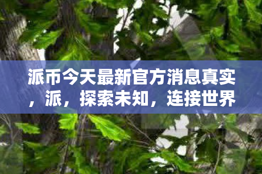 派币今天最新官方消息真实,派,探索未知,连接世界的奇妙之旅 派币今天最新官方消息真实,派,探索未知,连接世界的奇妙之旅