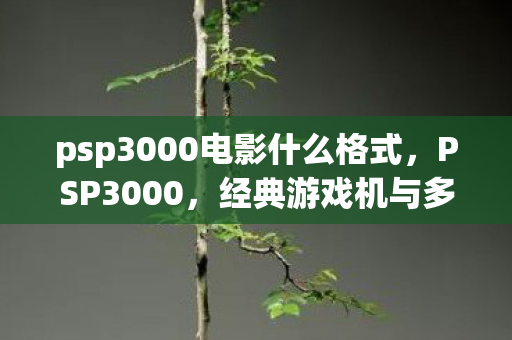 psp3000电影什么格式，PSP3000，经典游戏机与多媒体娱乐的完美结合