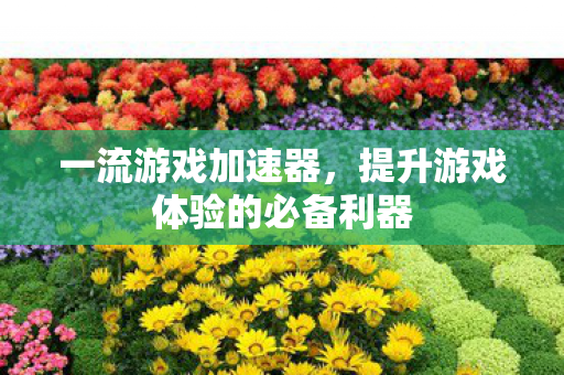 一流游戏加速器，提升游戏体验的必备利器