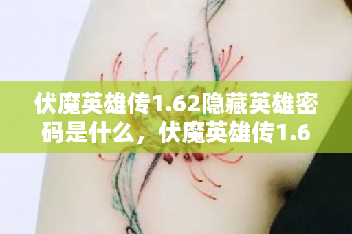 62隐藏英雄密码是什么图片