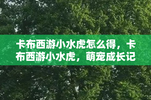 卡布西游小水虎怎么得，卡布西游小水虎，萌宠成长记