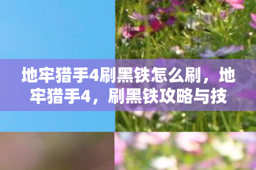 地牢猎手4刷黑铁怎么刷，地牢猎手4，刷黑铁攻略与技巧