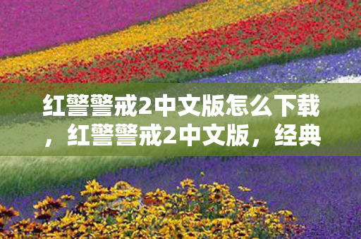 红警警戒2中文版怎么下载，红警警戒2中文版，经典战略游戏的传承与革新