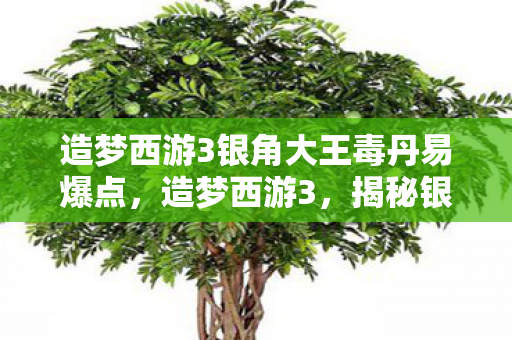 造梦西游3银角大王毒丹易爆点，造梦西游3，揭秘银角大王的传奇故事