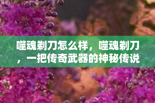 噬魂剃刀怎么样,噬魂剃刀,一把传奇武器的神秘传说 噬魂剃刀怎么样,噬魂剃刀,一把传奇武器的神秘传说