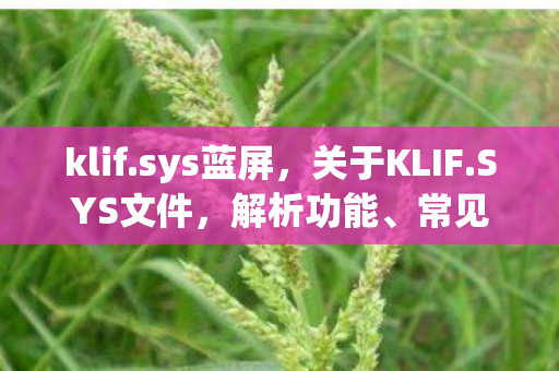 klif.sys蓝屏，关于KLIF.SYS文件，解析功能、常见问题及解决方案