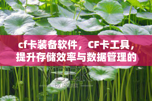 cf卡装备软件，CF卡工具，提升存储效率与数据管理的利器