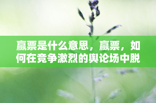 赢票是什么意思，赢票，如何在竞争激烈的舆论场中脱颖而出