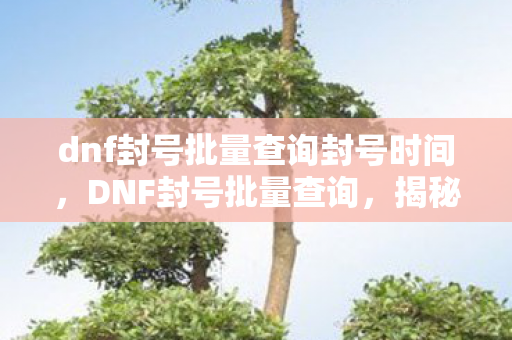 dnf封号批量查询封号时间，DNF封号批量查询，揭秘与应对