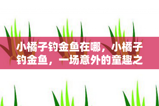 小橘子钓金鱼在哪，小橘子钓金鱼，一场意外的童趣之旅