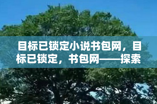 目标已锁定小说书包网，目标已锁定，书包网——探索数字阅读的新领地
