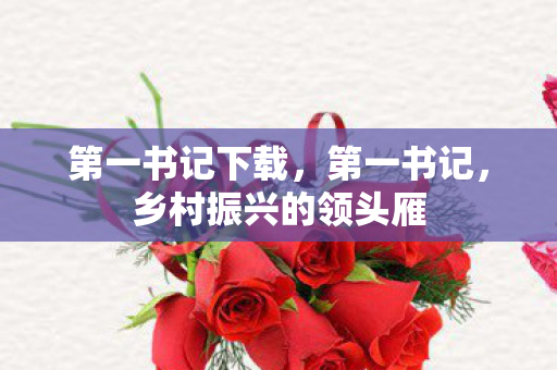 第一书记下载，第一书记，乡村振兴的领头雁