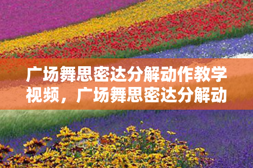 广场舞思密达分解动作教学视频,广场舞思密达分解动作详解 广场舞思密达分解动作教学视频,广场舞思密达分解动作详解