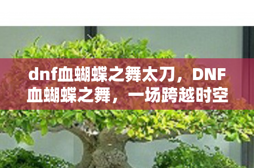dnf血蝴蝶之舞太刀，DNF血蝴蝶之舞，一场跨越时空的奇幻冒险