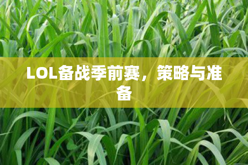 LOL备战季前赛，策略与准备