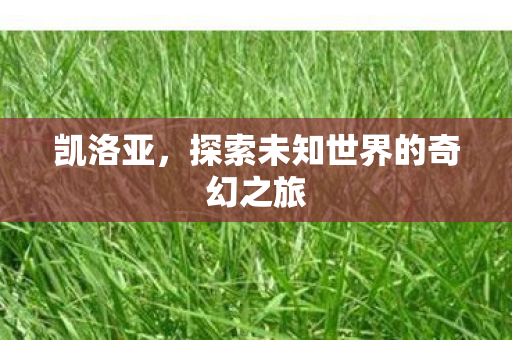 凯洛亚，探索未知世界的奇幻之旅