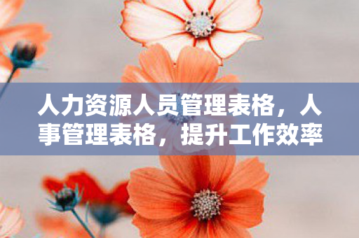 人力资源人员管理表格，人事管理表格，提升工作效率的关键工具