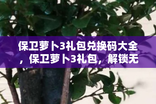 保卫萝卜3礼包兑换码大全，保卫萝卜3礼包，解锁无限乐趣的秘诀
