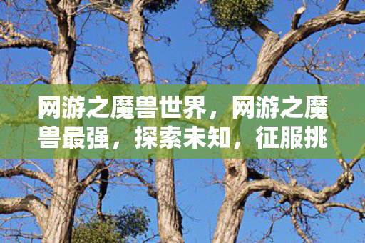 网游之魔兽世界，网游之魔兽最强，探索未知，征服挑战