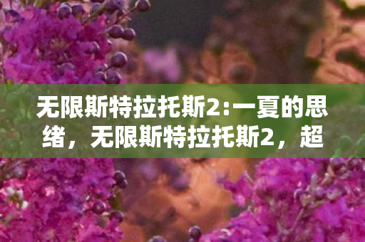 无限斯特拉托斯2:一夏的思绪，无限斯特拉托斯2，超越天际的冒险