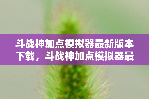 斗战神加点模拟器最新版本下载，斗战神加点模拟器最新攻略