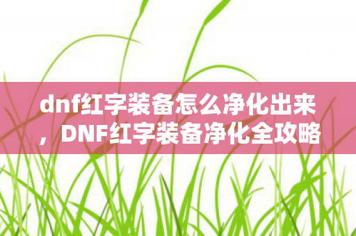 dnf红字装备怎么净化出来，DNF红字装备净化全攻略，解锁装备潜能，提升战斗力的关键步骤
