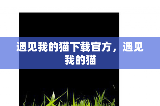 遇见我的猫下载官方图片
