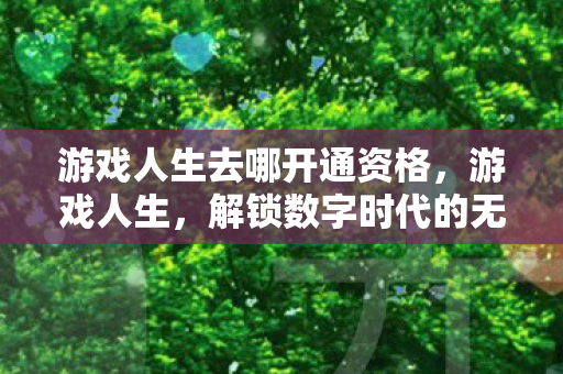游戏人生去哪开通资格，游戏人生，解锁数字时代的无限可能