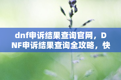 dnf申诉结果查询官网，DNF申诉结果查询全攻略，快速找回你的账号！