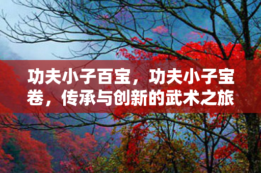功夫小子百宝，功夫小子宝卷，传承与创新的武术之旅