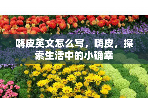 嗨皮英文怎么写，嗨皮，探索生活中的小确幸